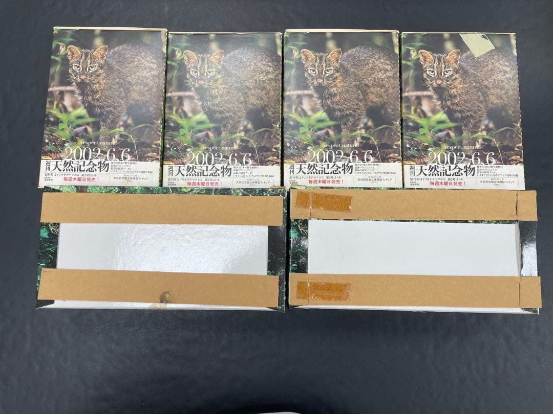 ビーパル　チョコエッグ　リュウキュウヤマガメ×4体　チョコラザウルス×２種