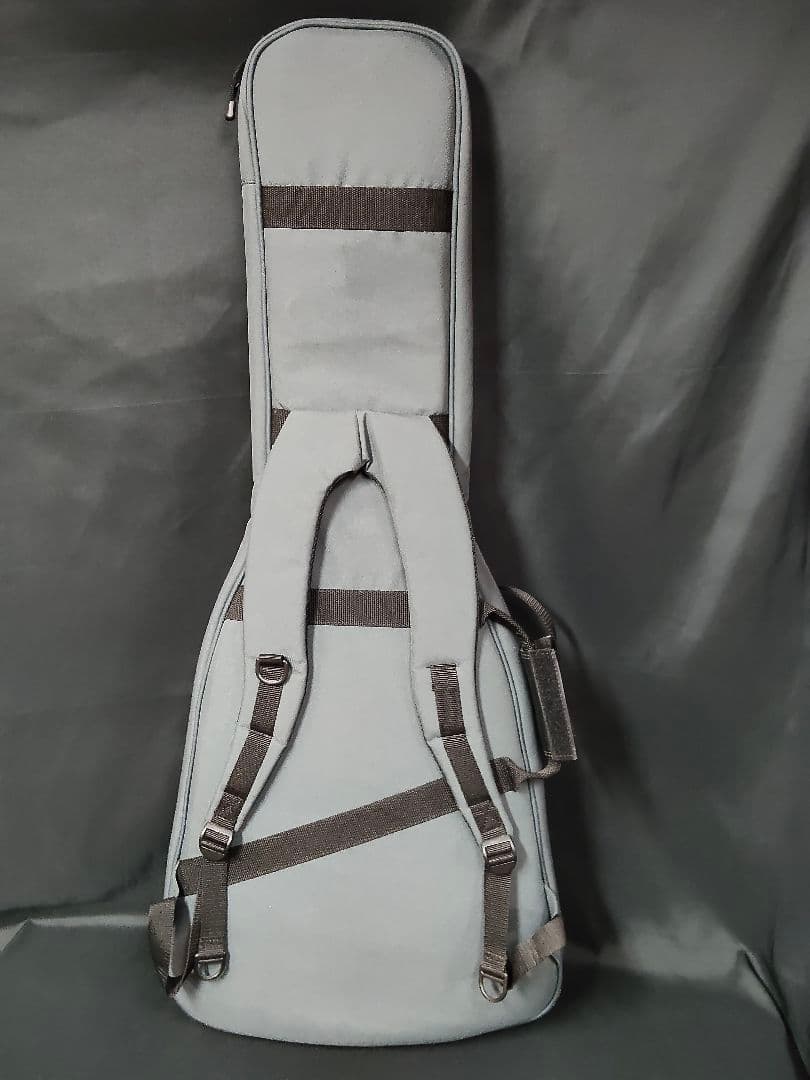 PRS SE EG エメラルドグリーン HSS ポールリードスミス ケース付き