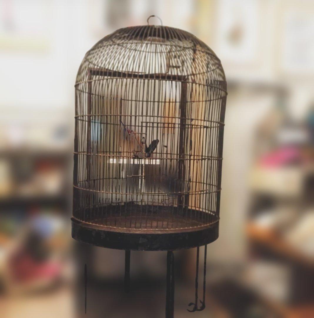 アイアン 巨大鳥かご アンティーク バードケージ プランター 置物