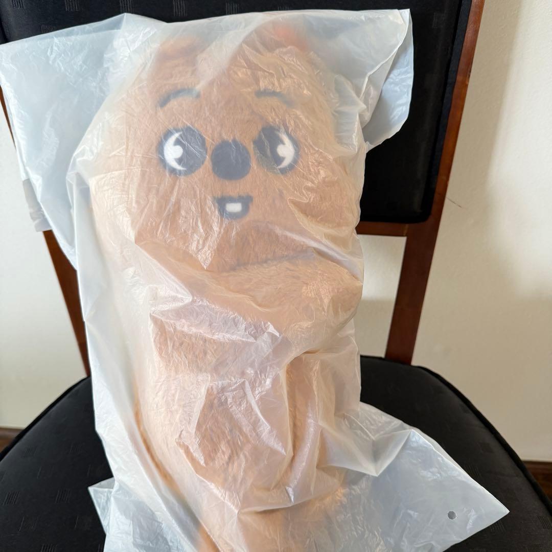 Stray Kids SKZOO PLUSH BAG ハンクオッカ