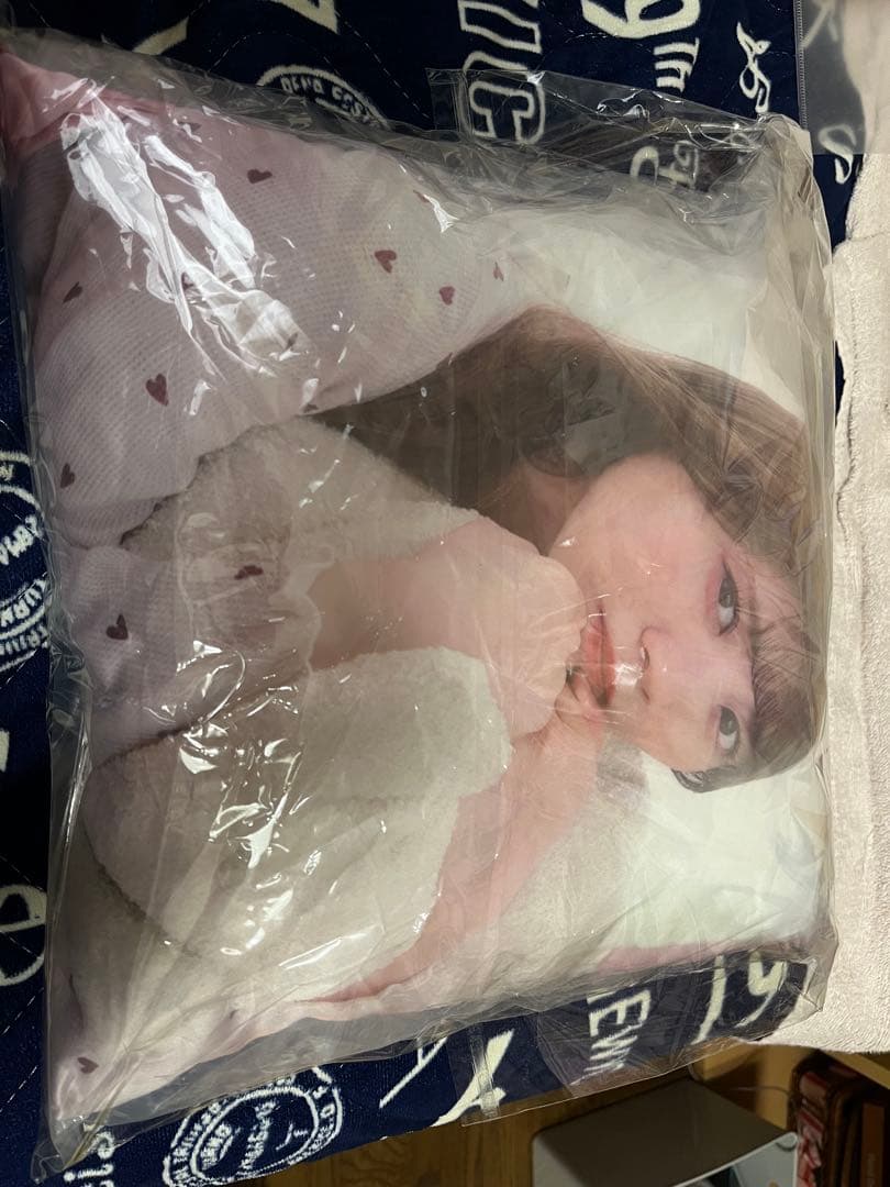 乃木坂46 乃木フェス 田村真佑 クッション 直筆サイン入り