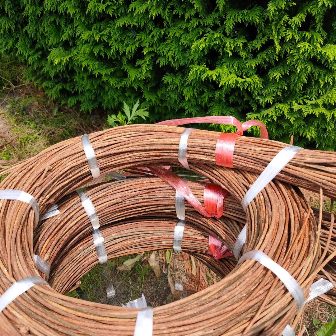 みっくん　青森県岩木山採取　あけび蔓　150cm～　練習用　3kg