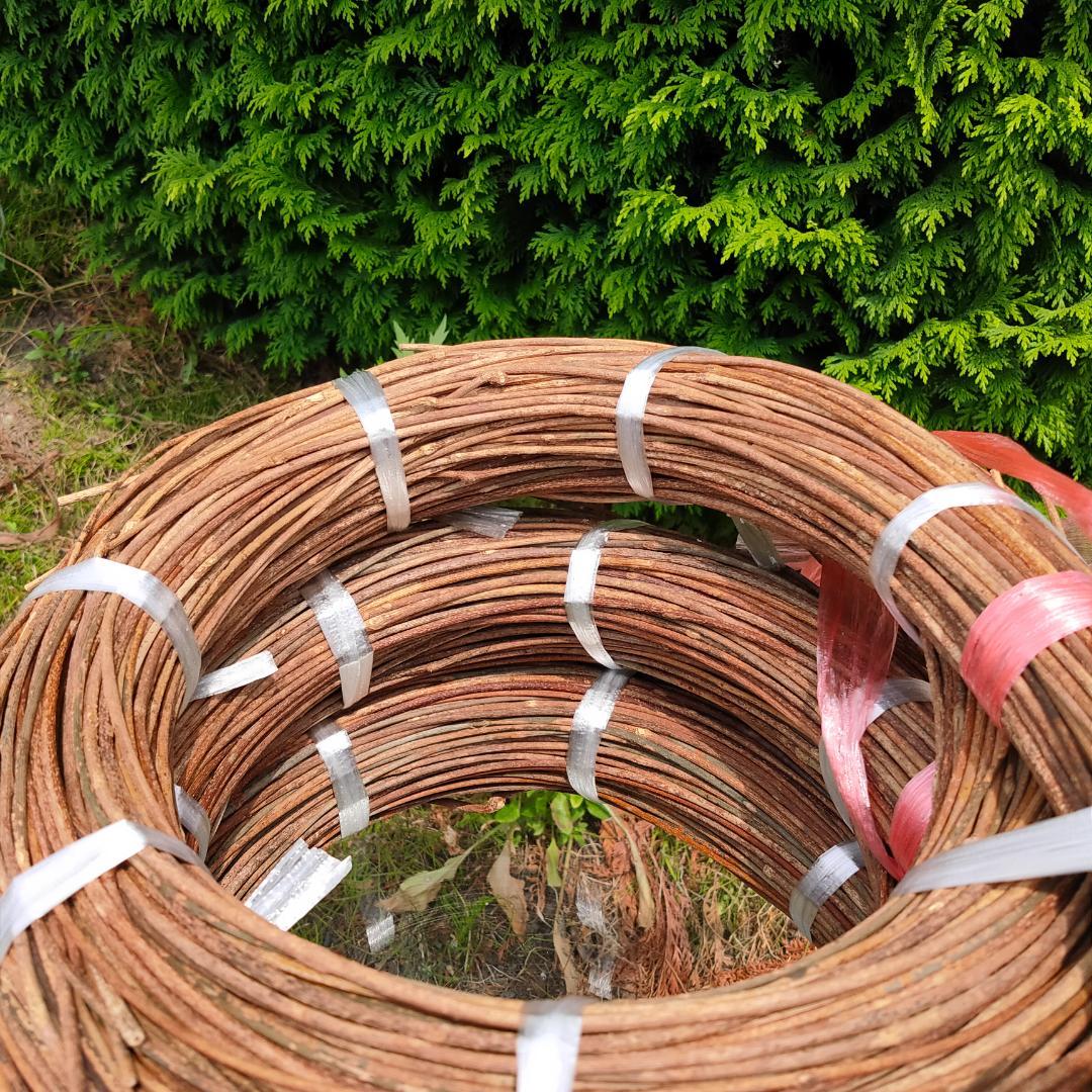 みっくん　青森県岩木山採取　あけび蔓　150cm～　練習用　3kg