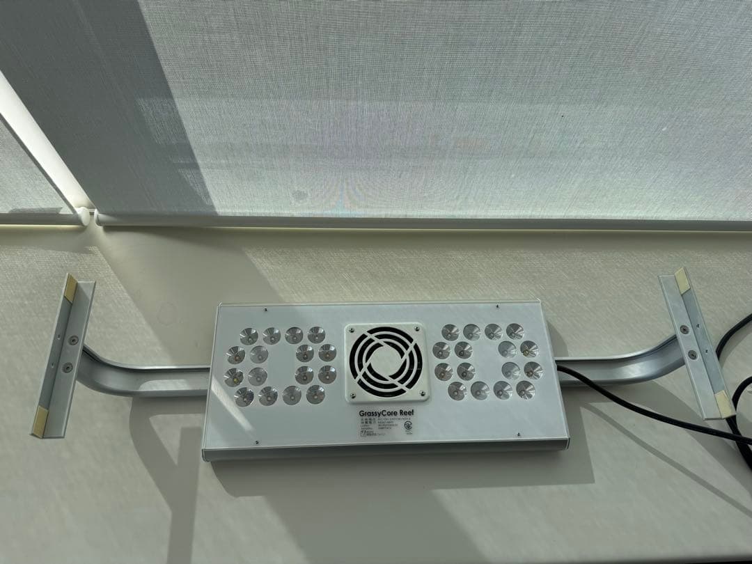 Grassy Core Reef 海水 サンゴ LEDライト ボルクスジャパン