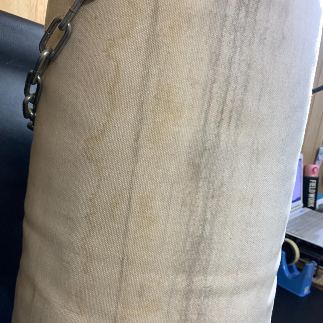 Mizuno サンドバッグ ホワイト