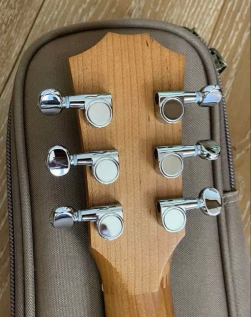 Baby Taylor BT1e_エレアコ