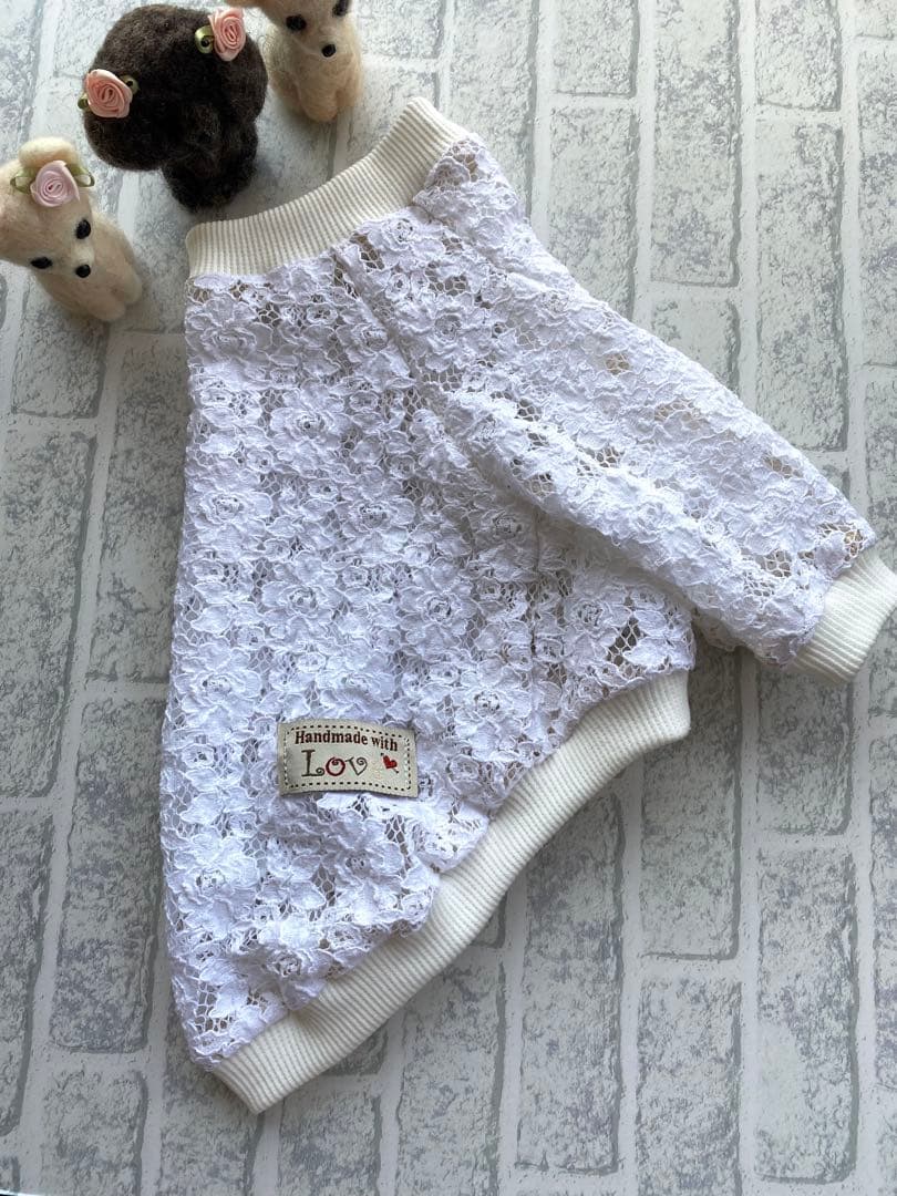 犬服 ラグラン(M) ꒡̈⃝Lily꒡̈⃝ハンドメイド