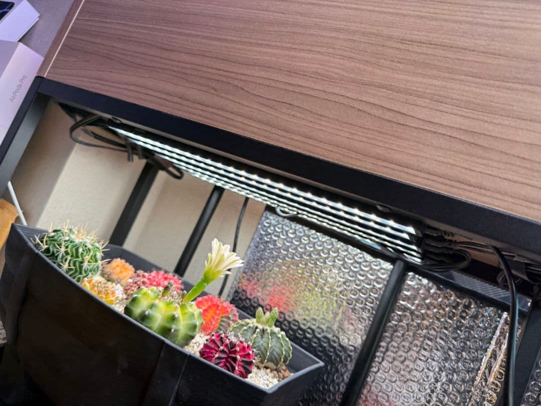 【美品】Barina　植物育成ライト 約20本セット（米Amazon購入品)