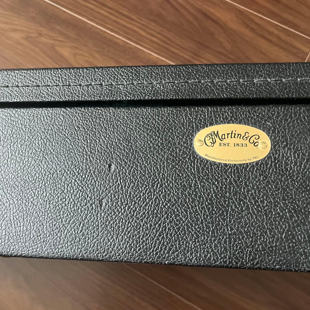 ギター Martin &Co EST.1833 GPCX1RAE