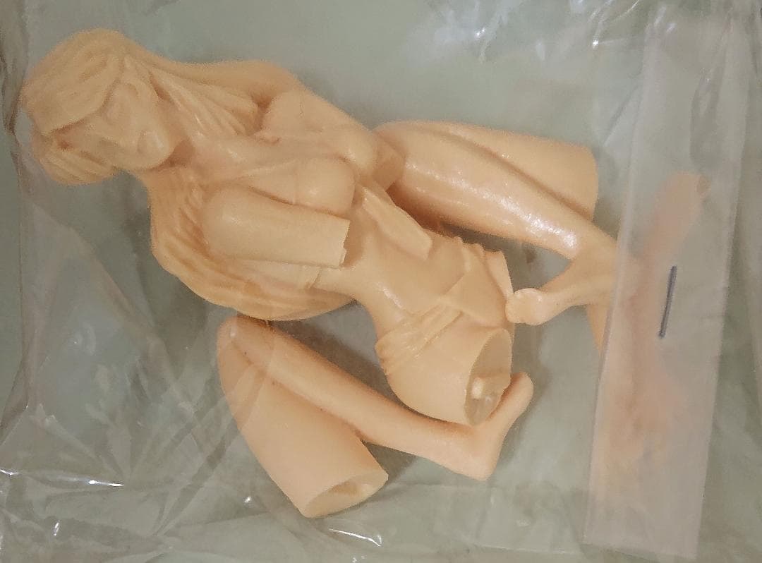 メガゾーン23 PARTII 時祭イヴ EVE ガレージキット 1/12