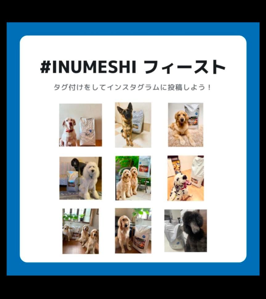 INUMESHI フィースト 1才以上 大型犬用 大粒 15kg ドッグフード