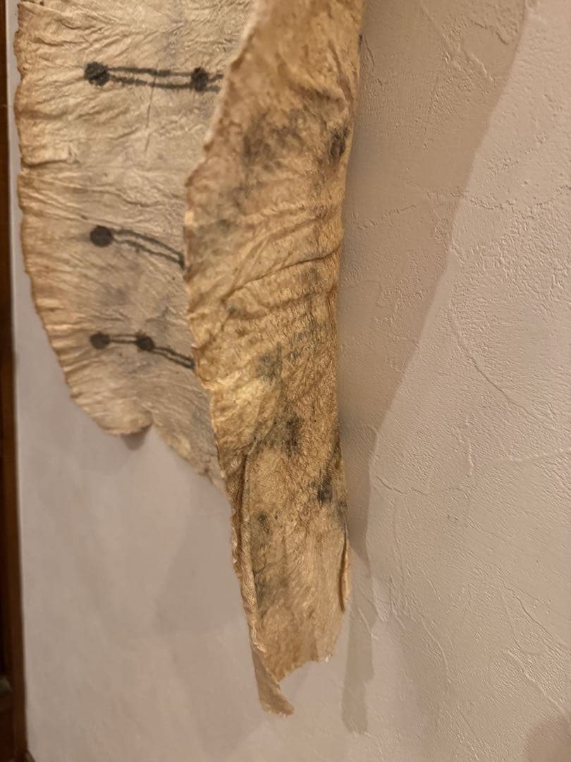 ピグミー族　タパ