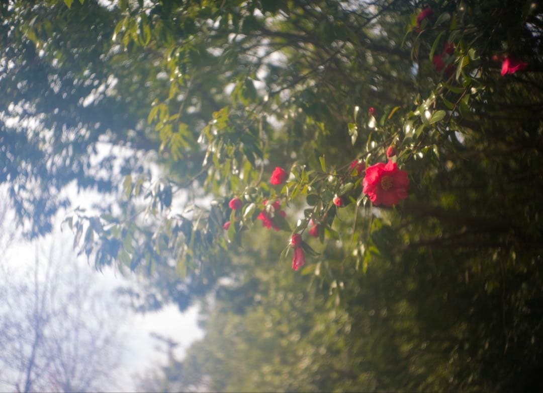 Canon35mmF2.8 ライカL39マウントレンズ