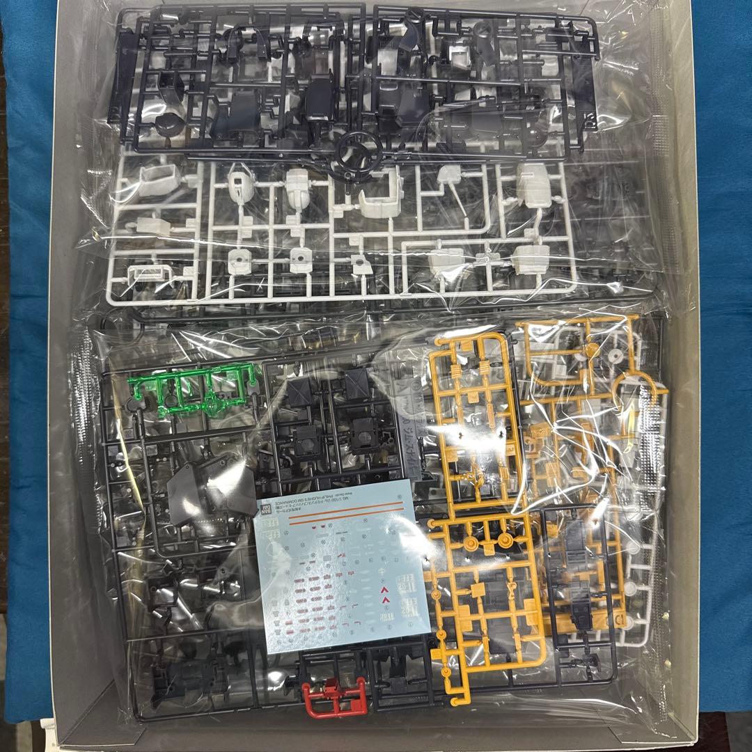 MG 1/100 ジム・ドミナンス（フィリップ・ヒューズ機）