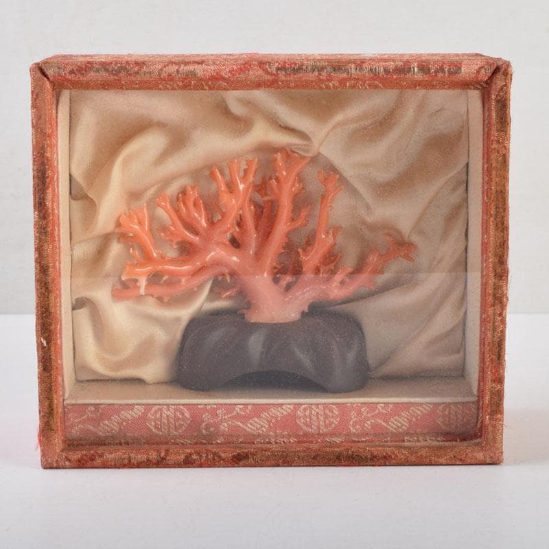 中国　赤珊瑚　サンゴ　置物　唐木台・ケース付　V　9075