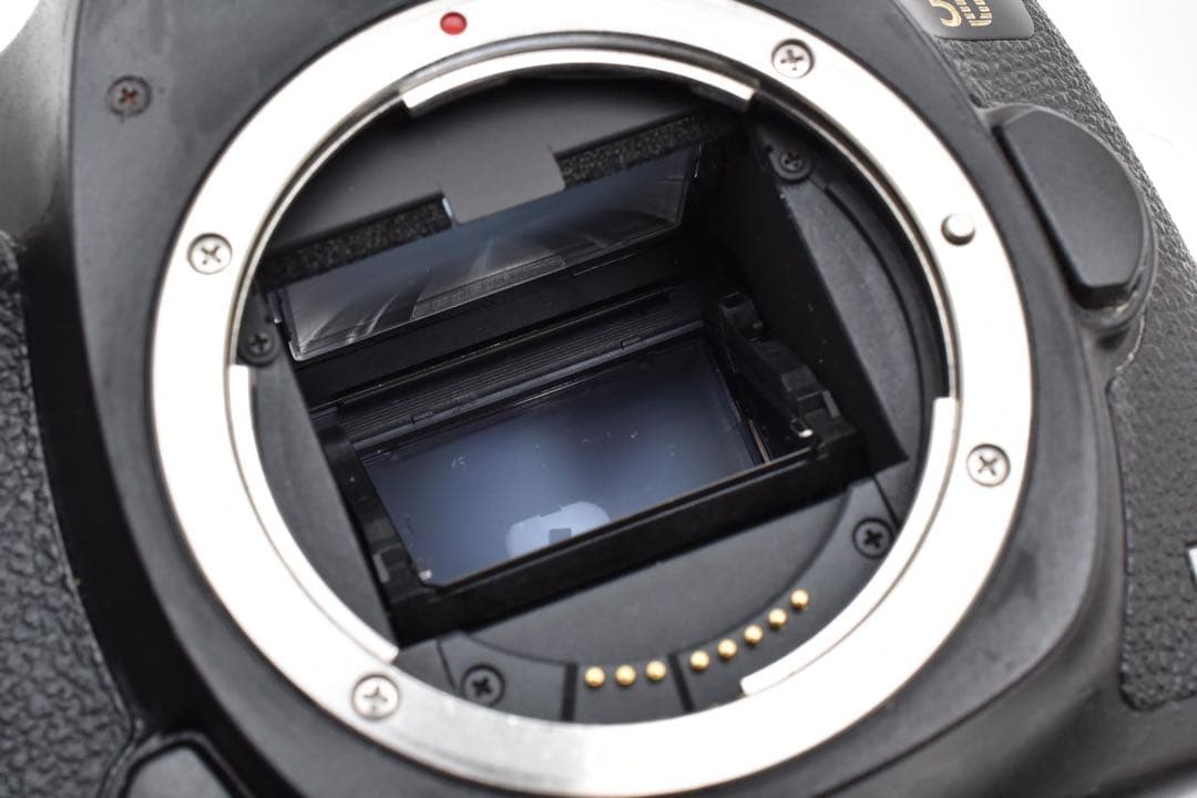 Canon EOS 5D mark III標準&望遠ダブルレンズセット/