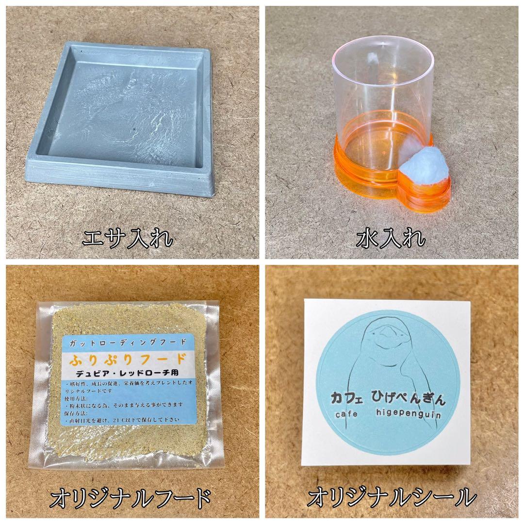 遊戯王初期お宝売ります様　S(フル)