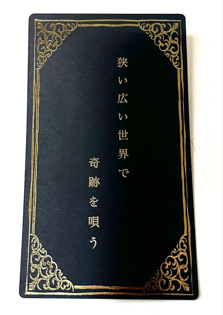 悟*様 （非売品）Mrs.GREEN APPLE BABEL no TOH 記念