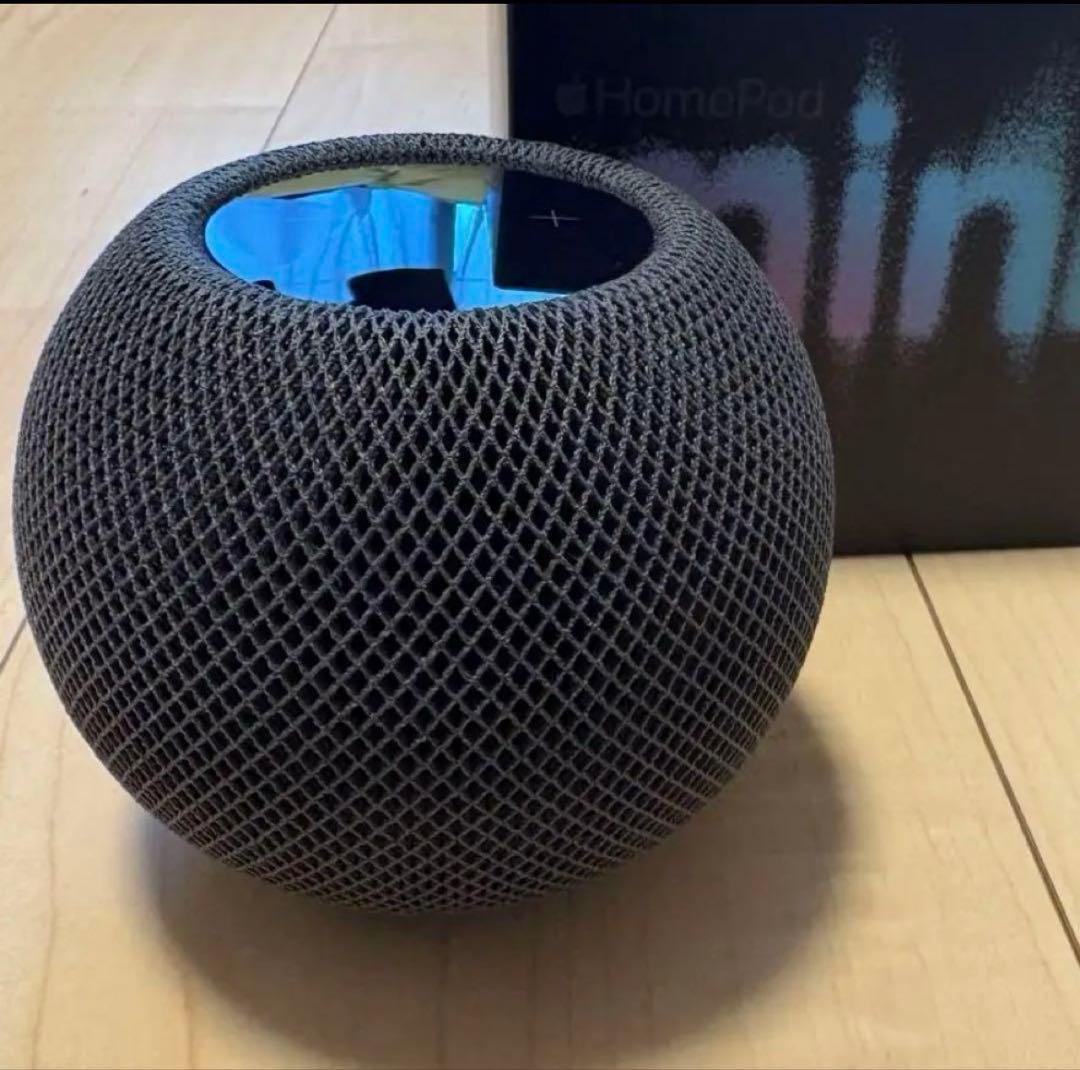 apple pod mini スペースブラック