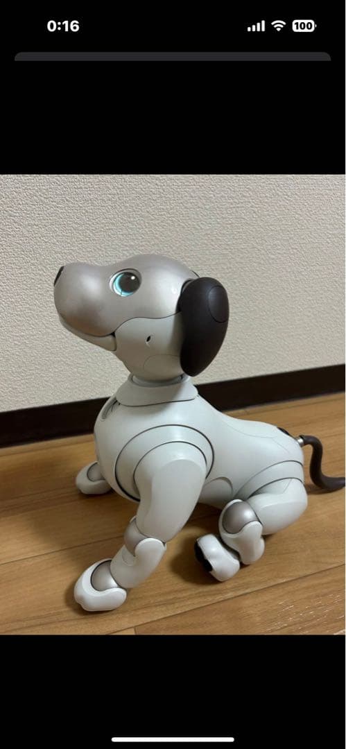 【大幅値下げ】動作確認済み SONY aibo ERS-1000