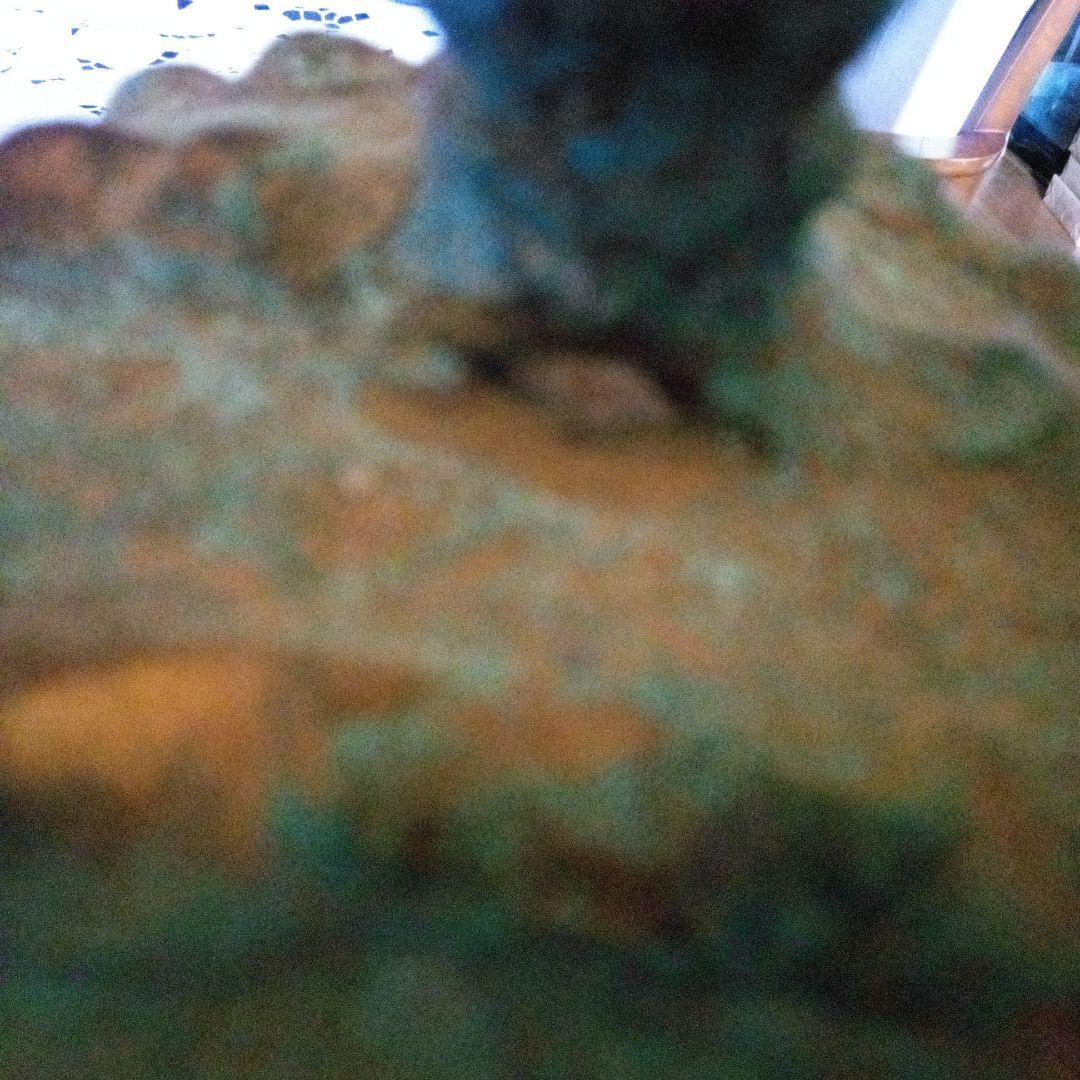 骨董品装飾的な青銅色兜