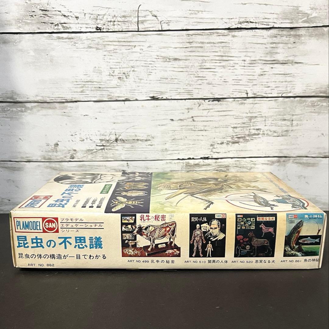 マルサンプラモデル　エディショナルシリーズ　昆虫の不思議　絶版‼︎
