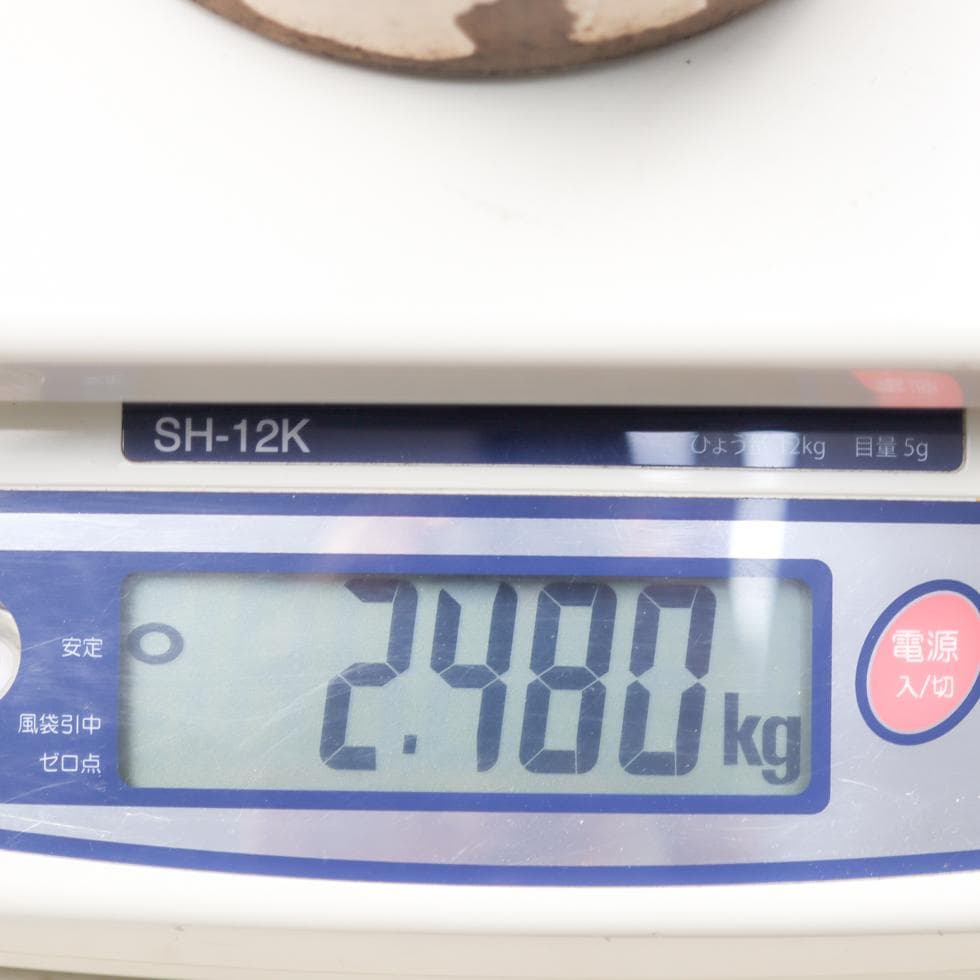 安南 五彩魚藻紋 大瓶 38cm