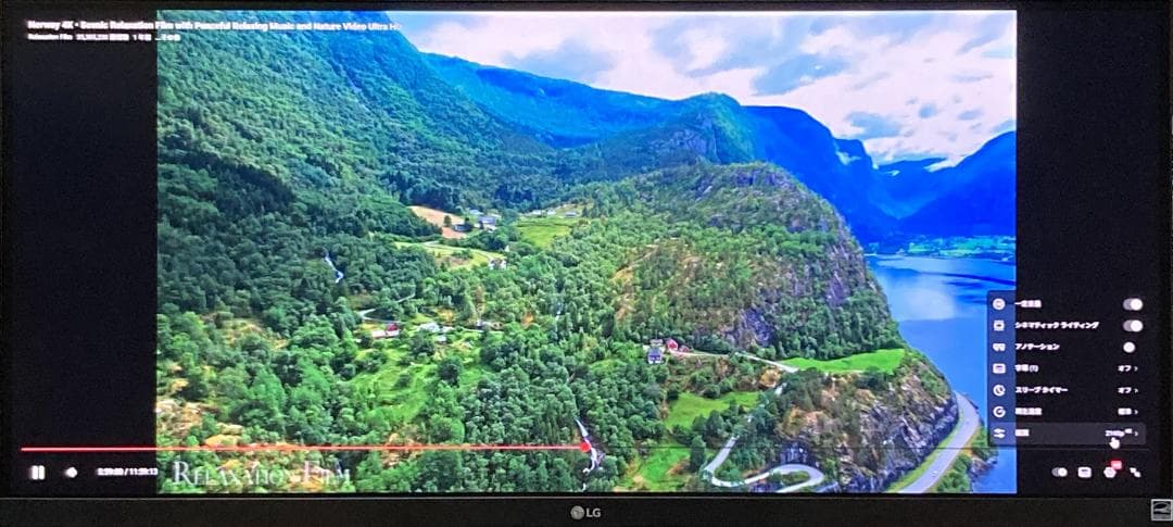 LG 29WP500-B 29インチ 2560×1080 HDR 75Hz