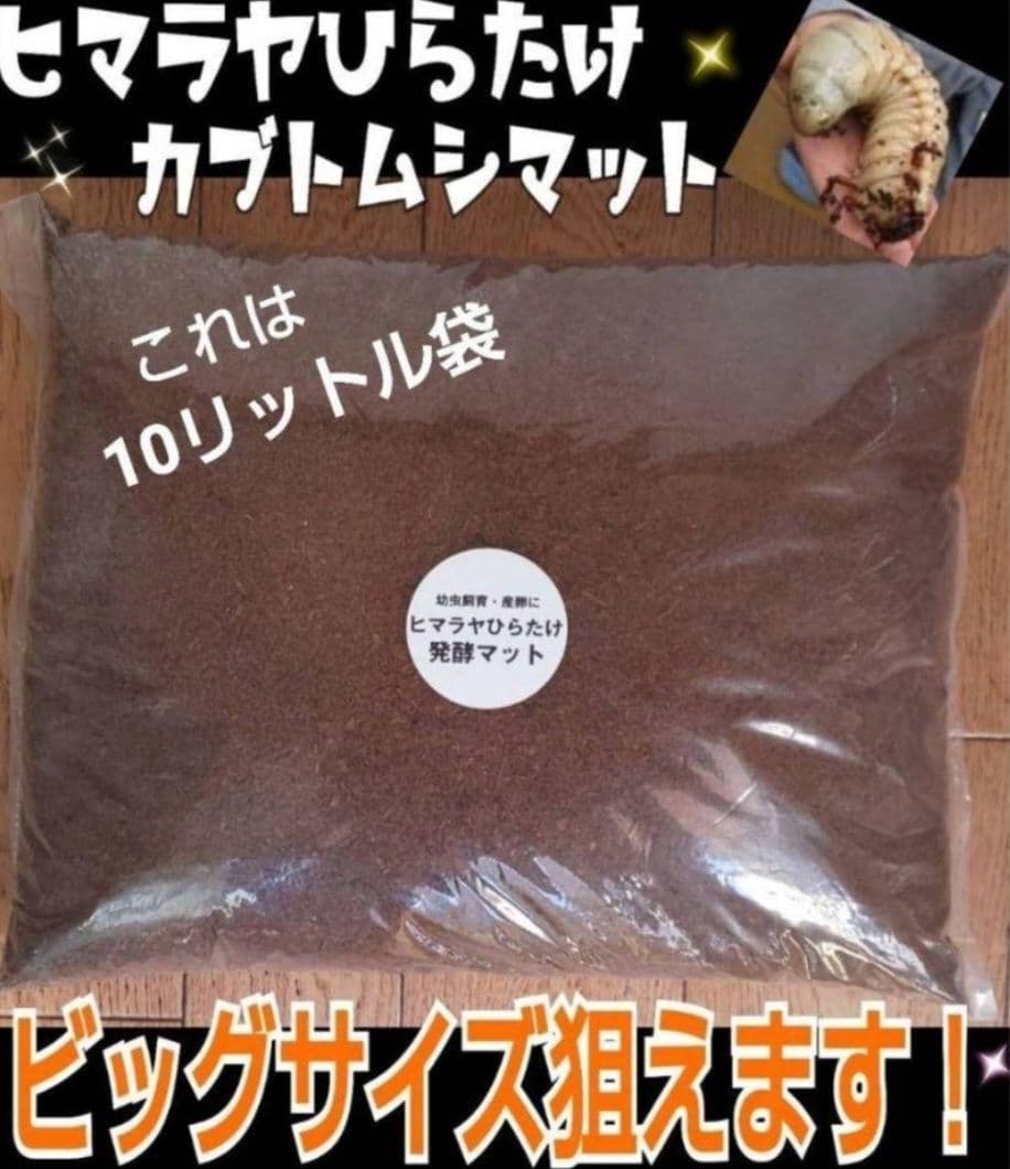 高品質！カブトムシ幼虫の餌　大きくなる！発酵マット【6袋】雑虫が湧きません！