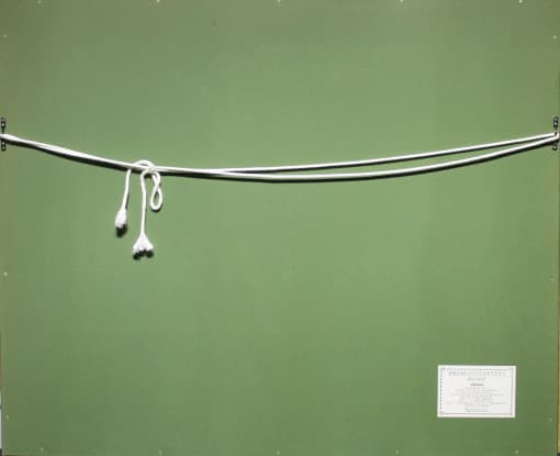 小暮真望 【雲海にたいする宝永富士】 セリグラフ