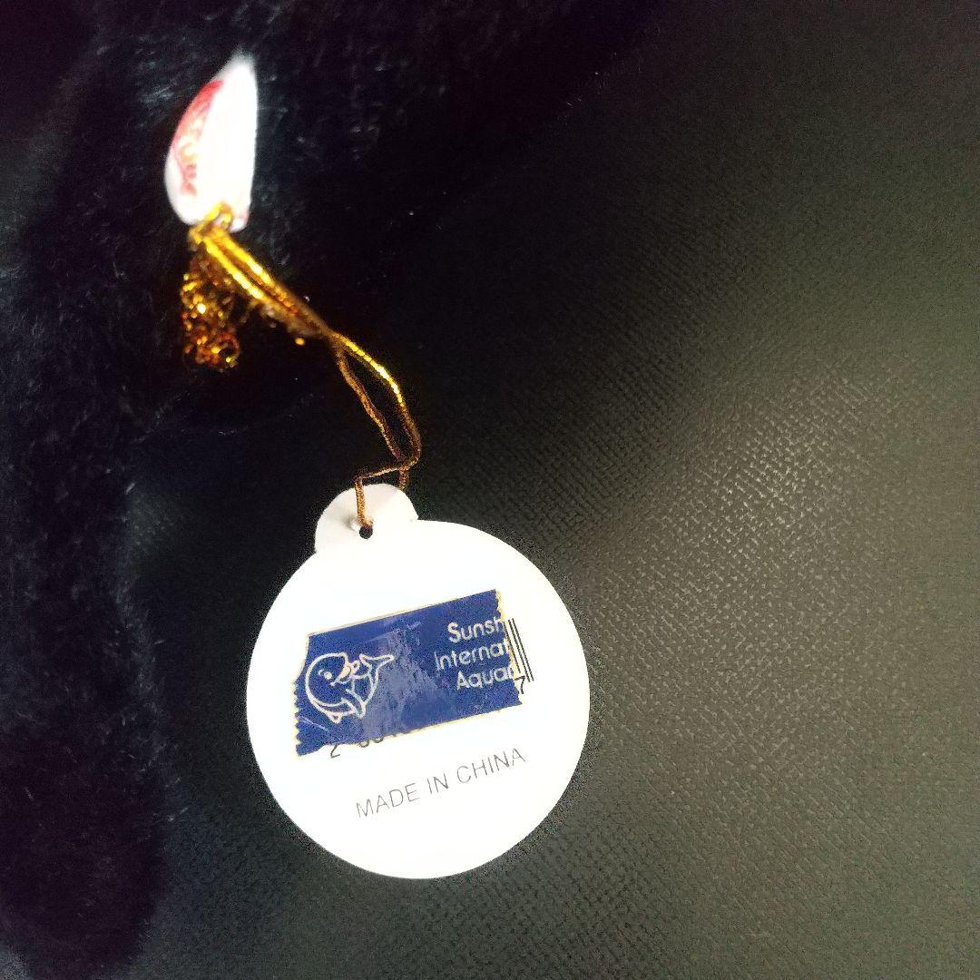 オウオウアシカ