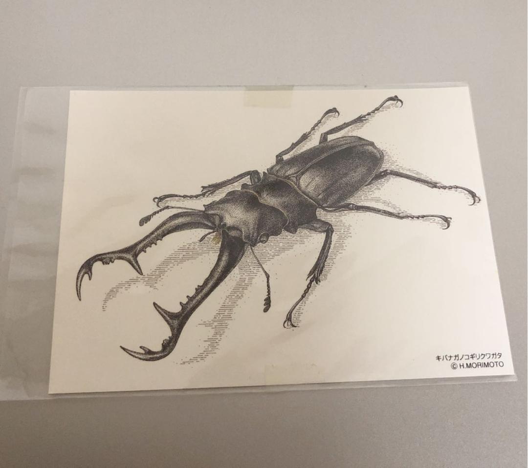 【珍品】ギラファノコギリクワガタ ポストカード
