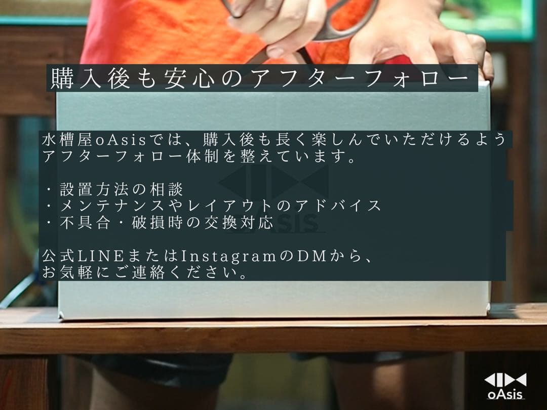 アクアリウム 流木 レイアウトセット 60cmスリム水槽　熱帯魚・水草水槽用