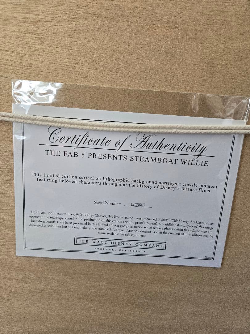 Disney ディズニー セル画 Fab 5 Steamboat Willie