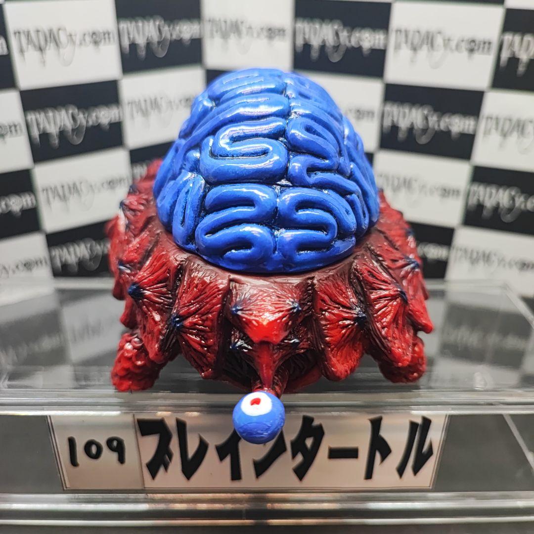 109ブレインタートル