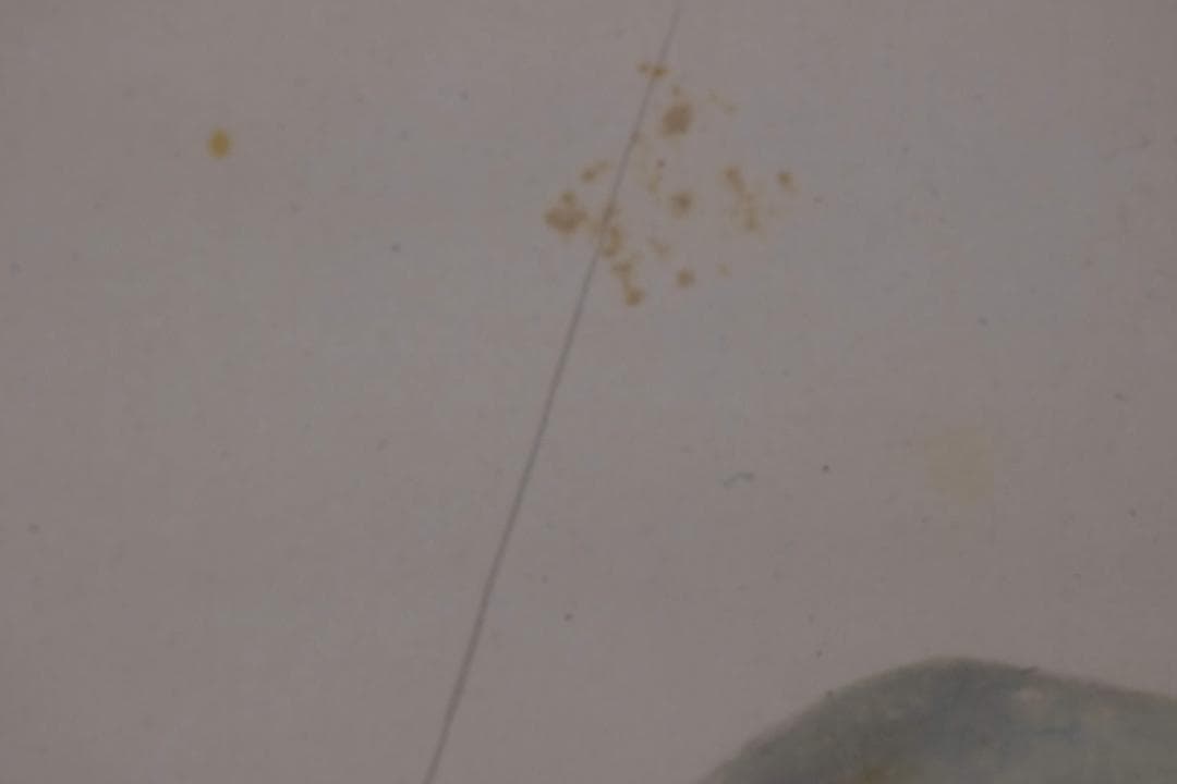 【真作】林文塘/首秋行旅図/秋景山水人物図/横物/掛軸☆宝船☆Y-287　JM