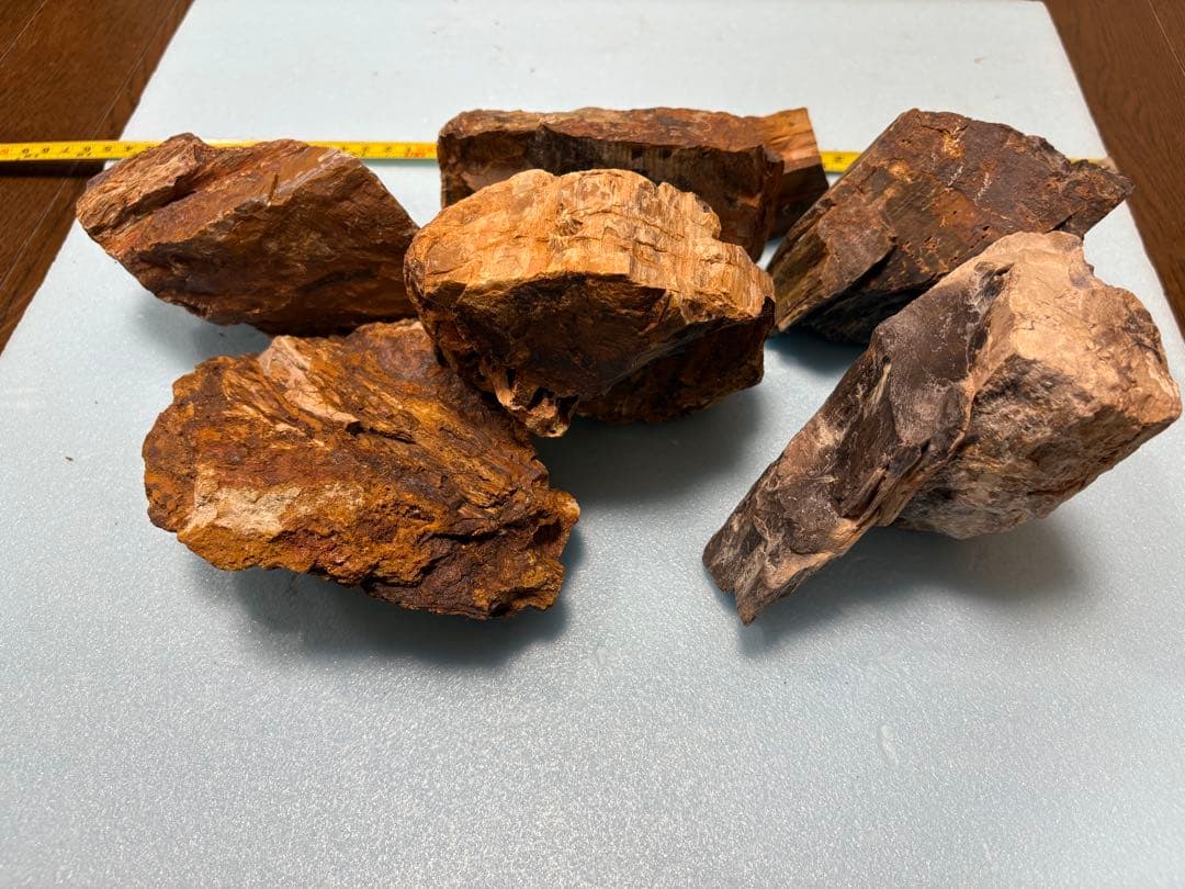 木化石　7個4.3kg（天然石 茶系色 不規則な形状）