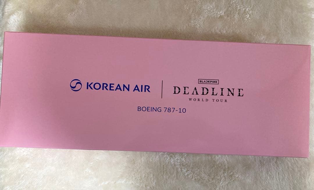 【非売品/当選品】BLACKPINK 大韓航空 特別塗装機 モデルプレーン 模型