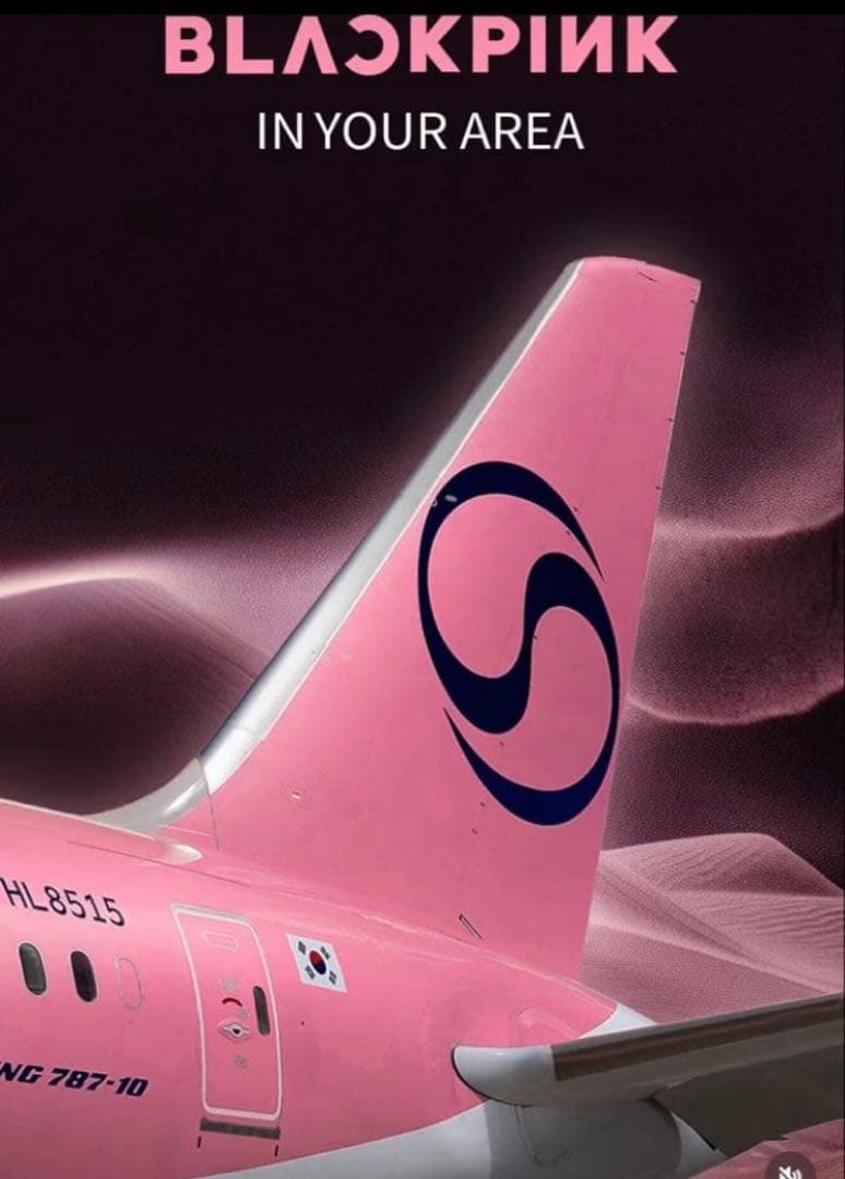 【非売品/当選品】BLACKPINK 大韓航空 特別塗装機 モデルプレーン 模型