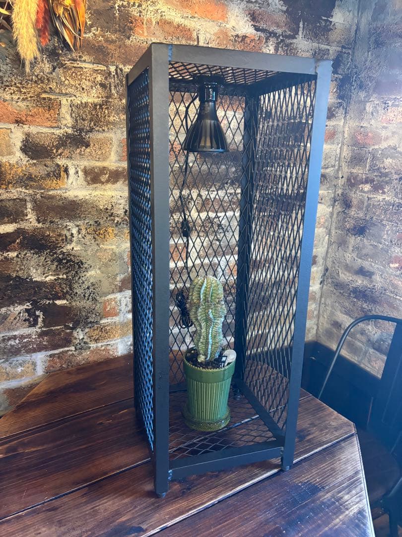 【年末セール特価】300×300mm インダストリアルな植物棚　アイアンシェル