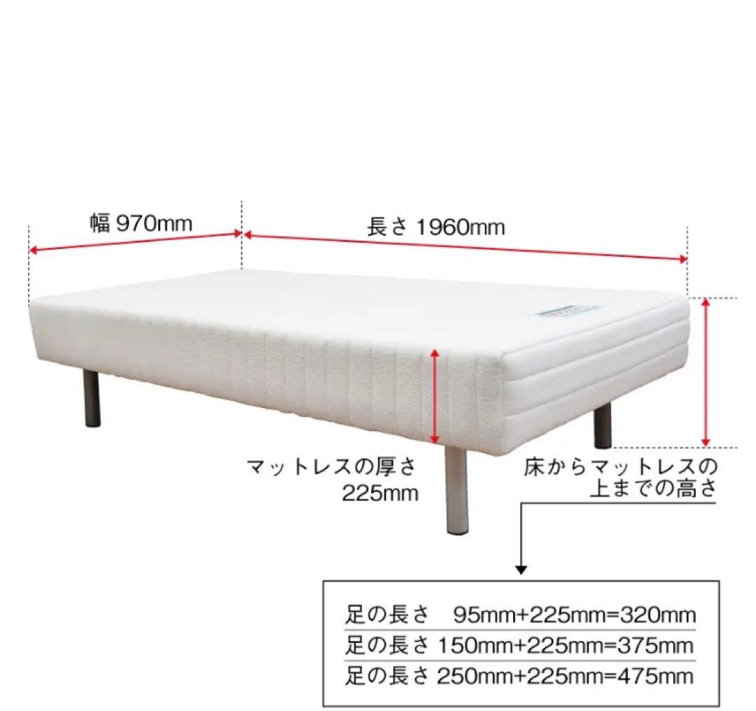 【T-51様限定】FranceBed 脚付きマットレス シングル 22.5cm