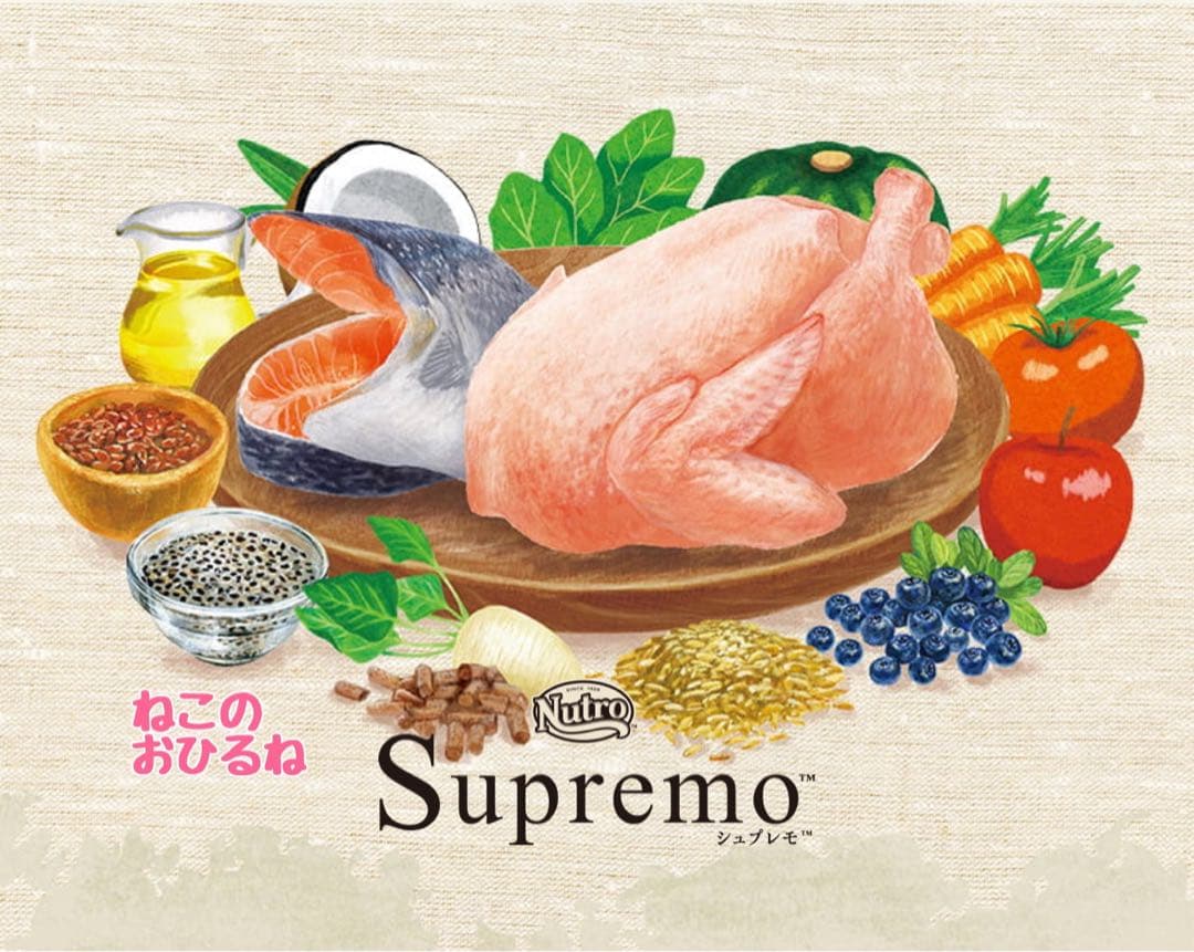 ニュートロシュプレモ　子猫用　（チキン&サーモン）　3kgパック