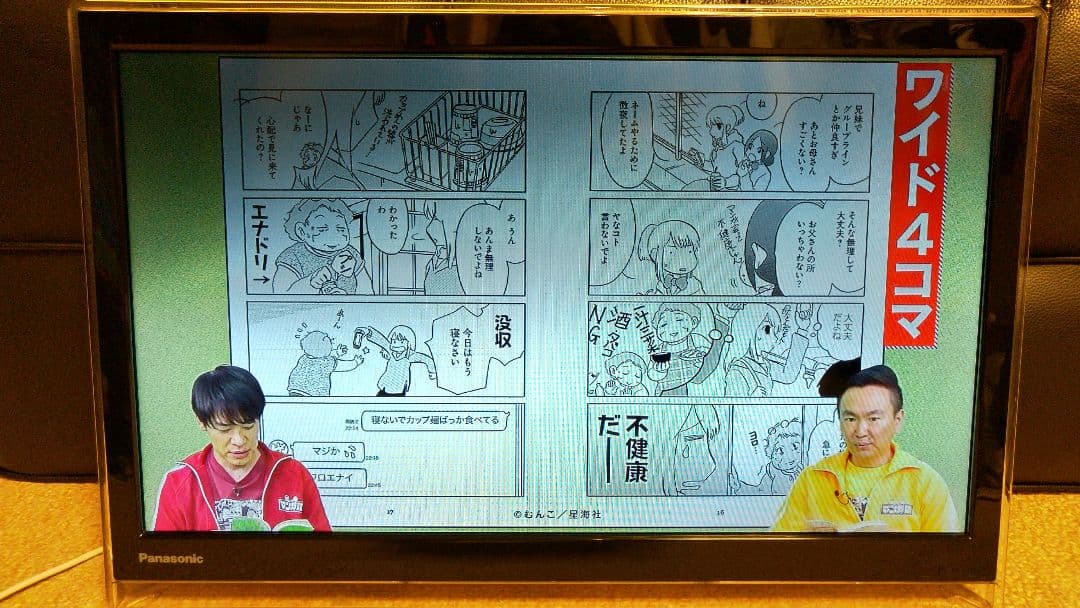 値下げ　Panasonic プライベートビエラ　19インチ