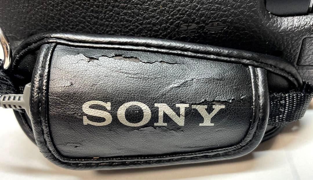 描写力に安心感・安定感!! ソニー 4K ビデオカメラ FDR-AX100