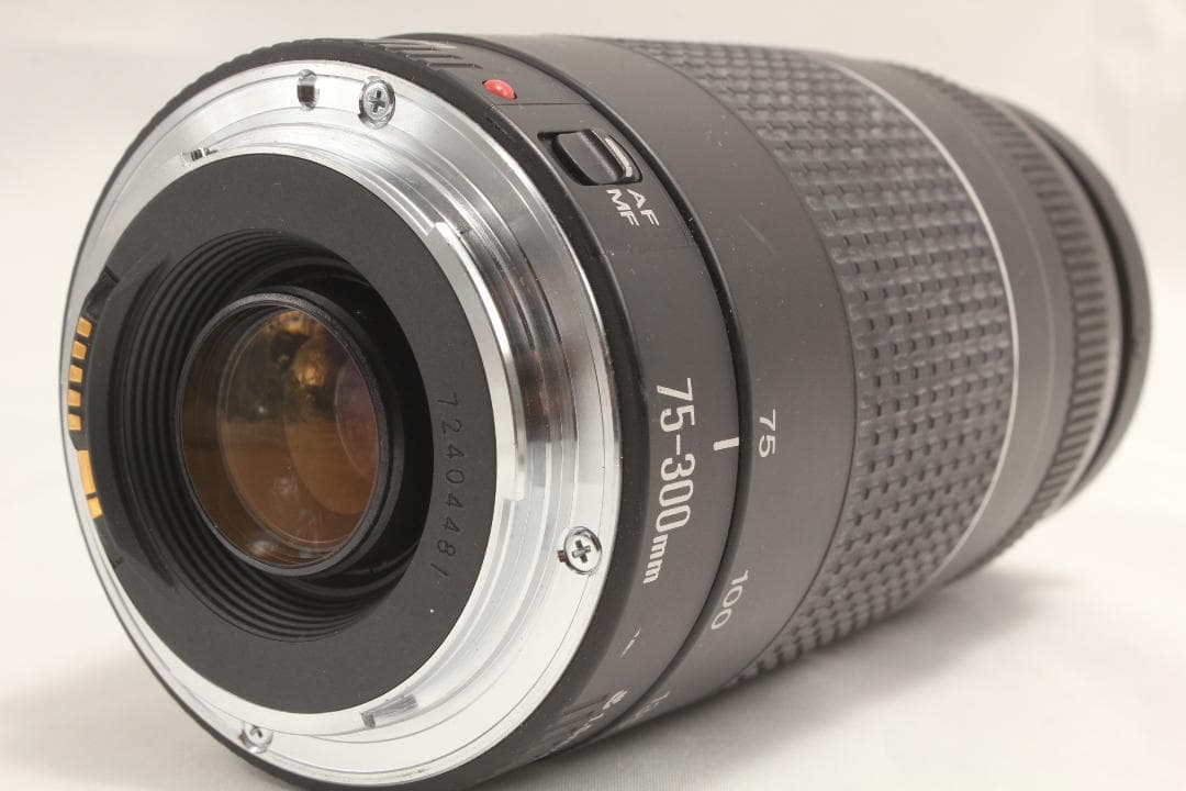 CANON EF 75-300 4-5.6 USM Ⅱ前後キャップ・フィルタ付き