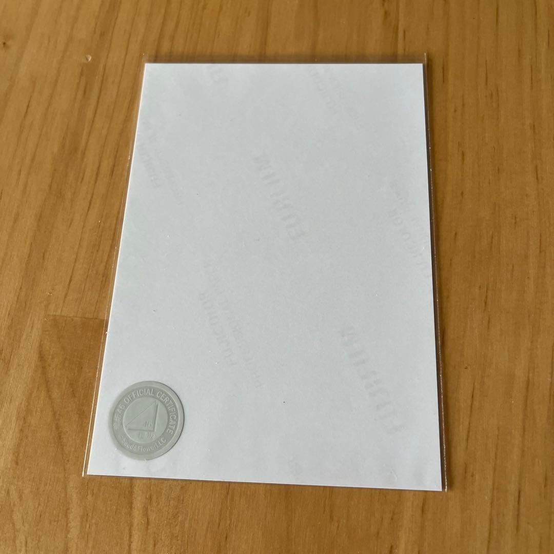 し*】様 櫻坂46 小林由依 生写真