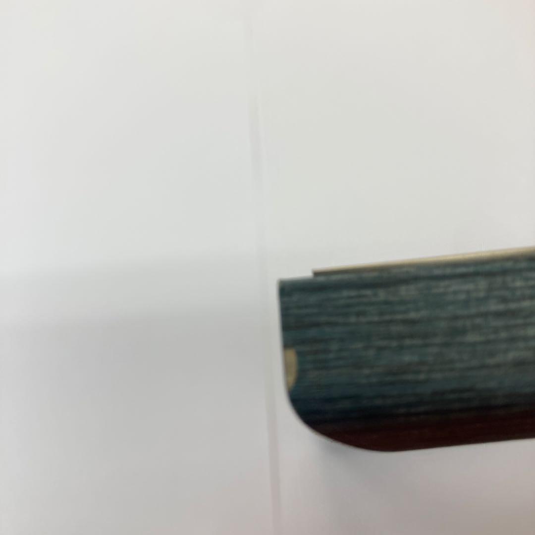 ポケモン　ピカチュウ　ルカリオ　サトシ　複製原画　絵　レア　非売品　サイン入り