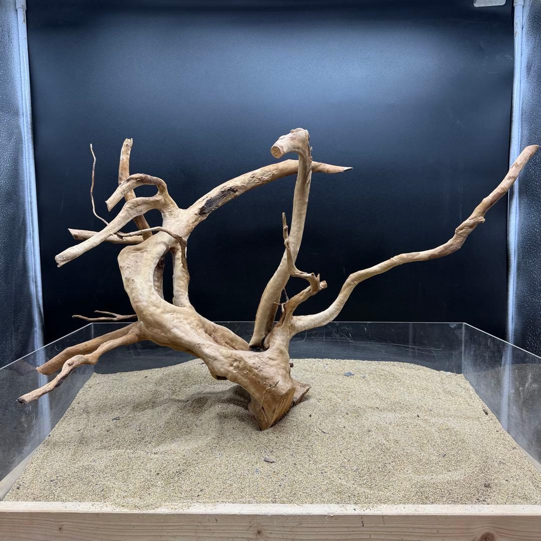 MDW-7159 特大ブランチウッド　流木　枝流木　アクアリウム