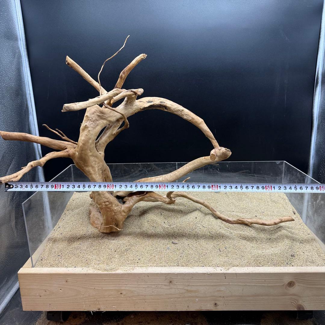 MDW-7159 特大ブランチウッド　流木　枝流木　アクアリウム