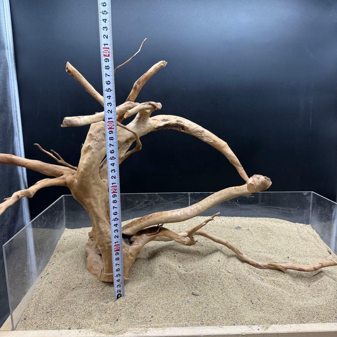 MDW-7159 特大ブランチウッド　流木　枝流木　アクアリウム